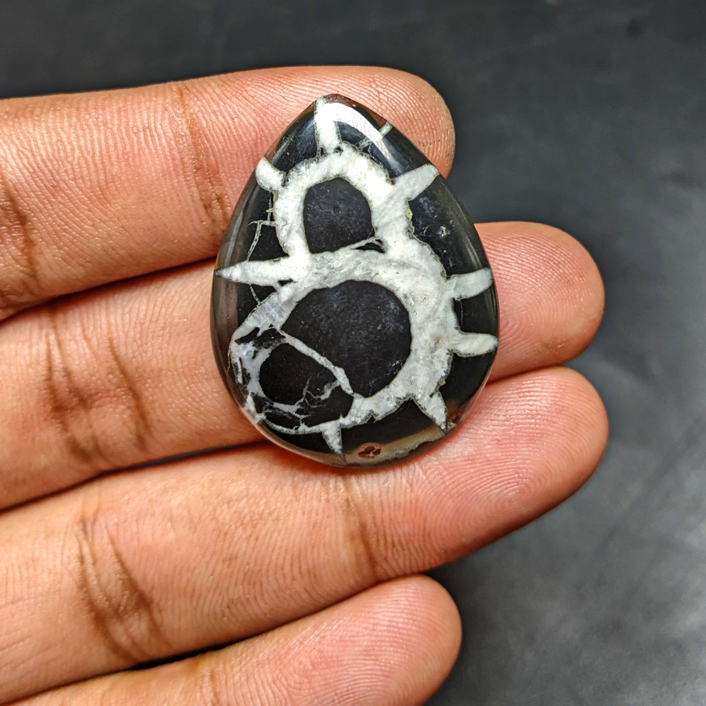 Black Septarian