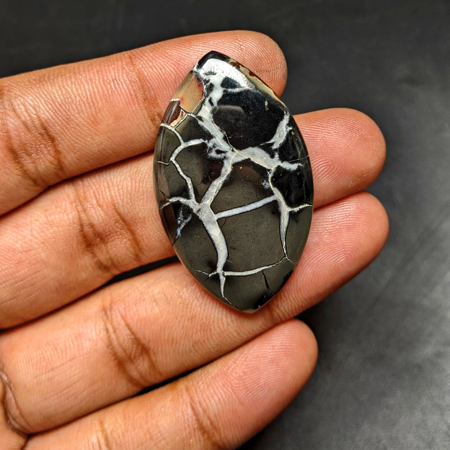 Black Septarian