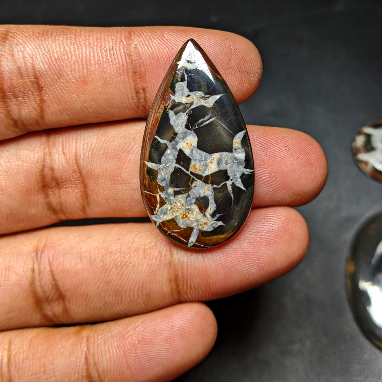 Black Septarian