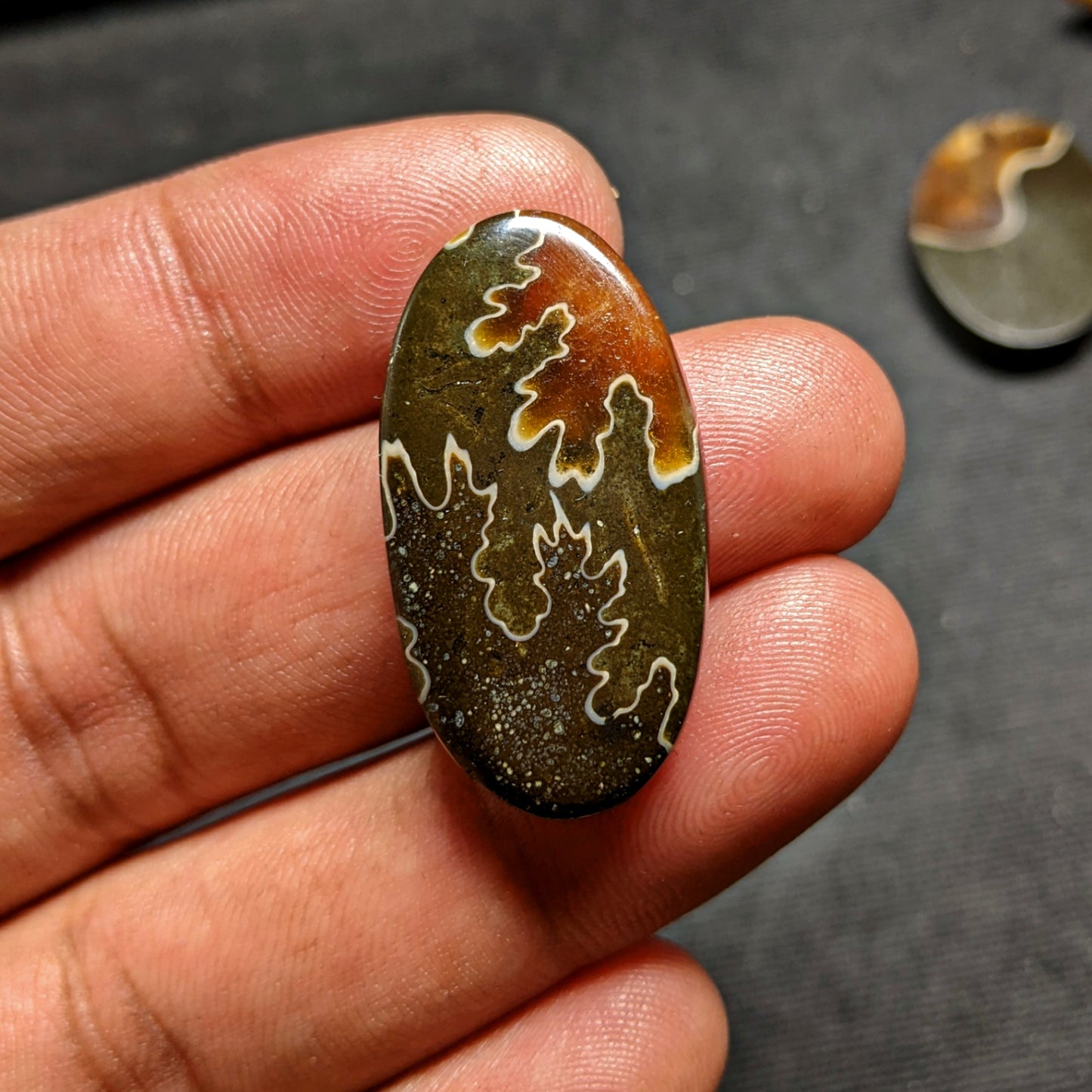 Ammonite ( Suture )
