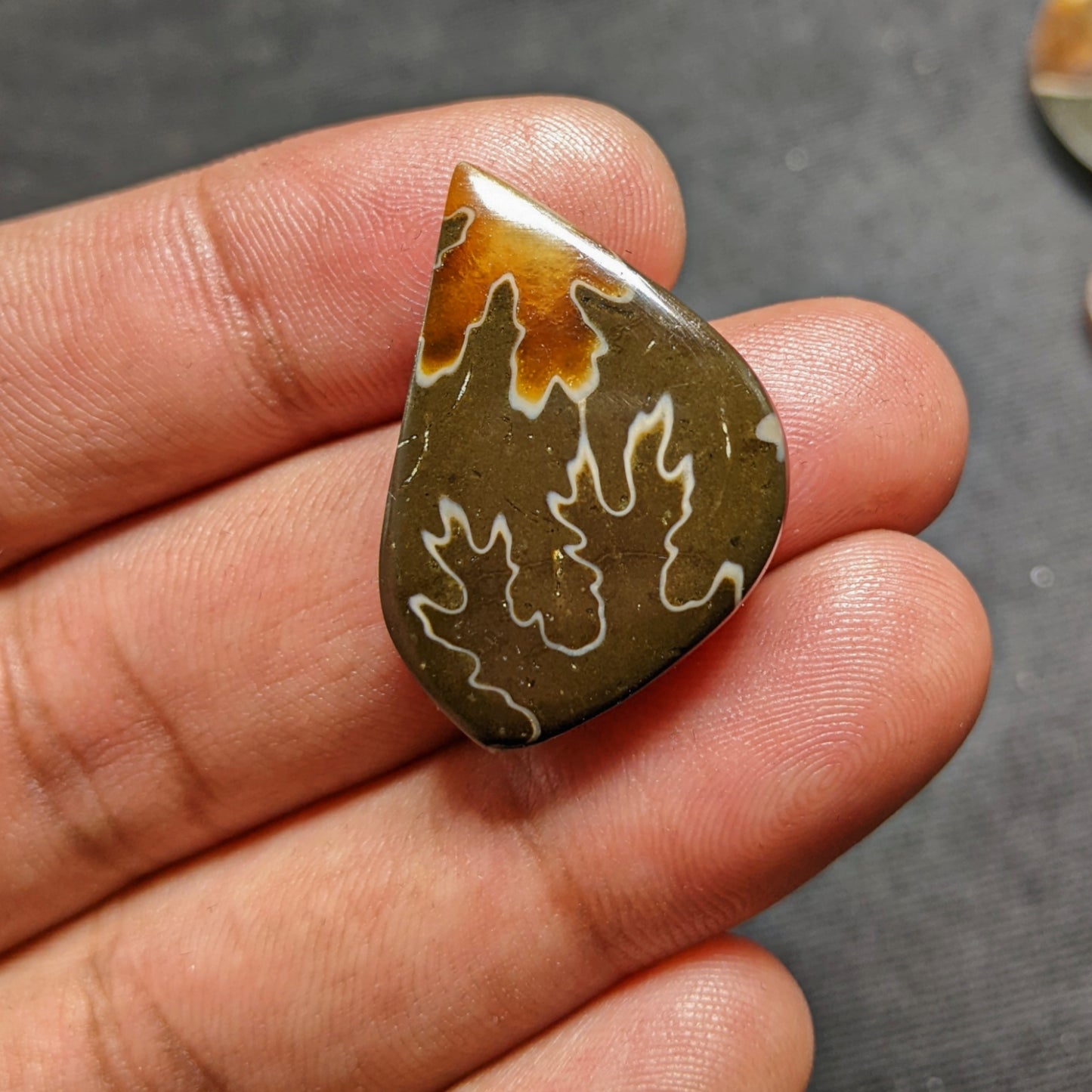 Ammonite ( Suture )