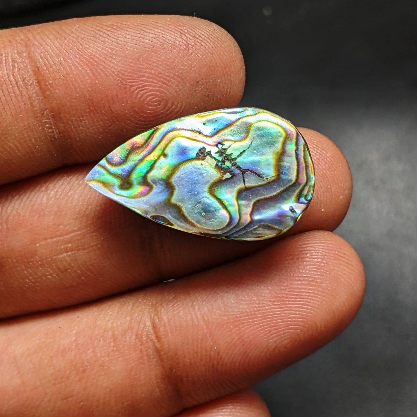 Abalone Shell