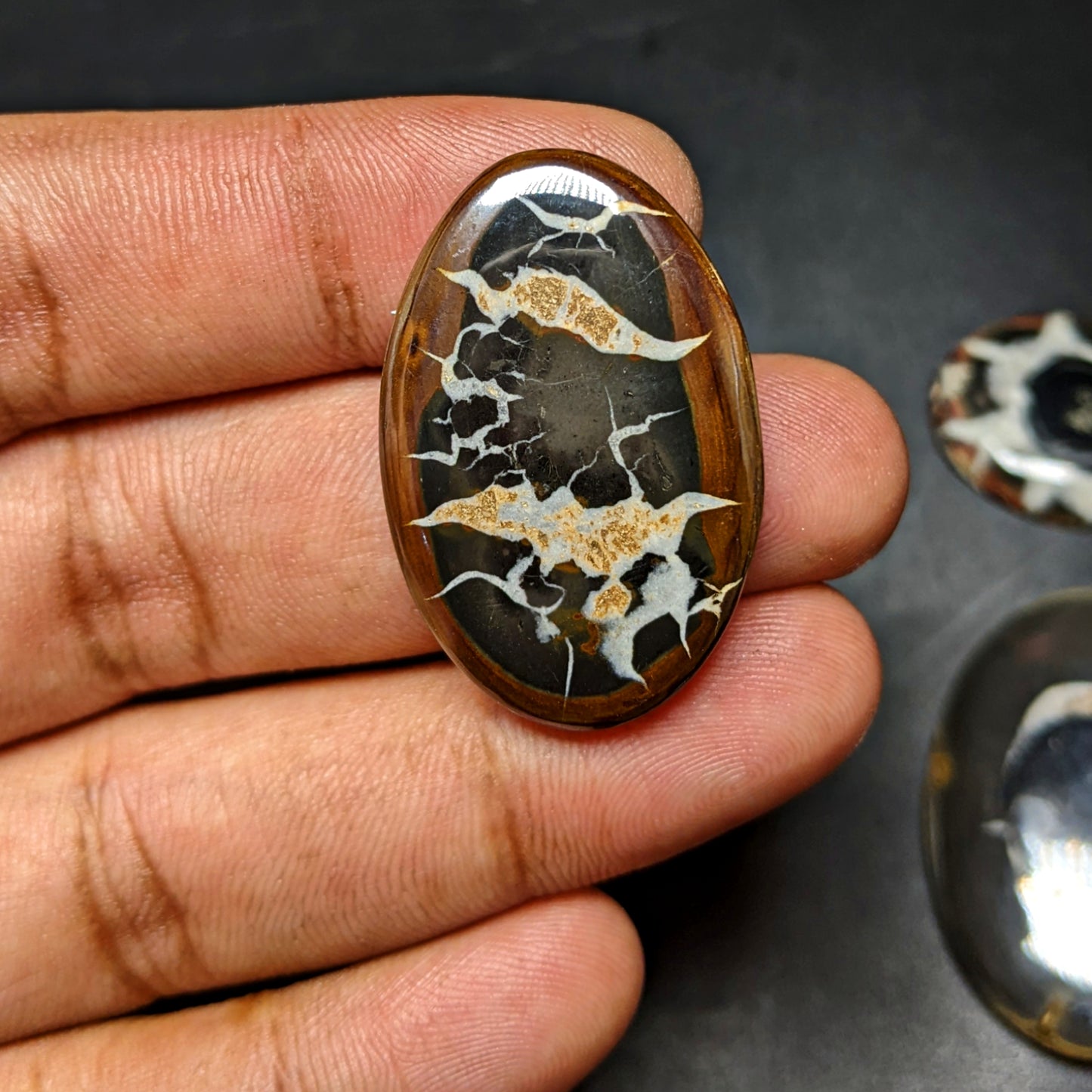 Black Septarian