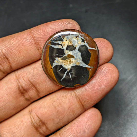 Black Septarian