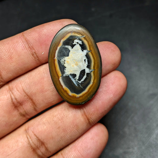 Black Septarian