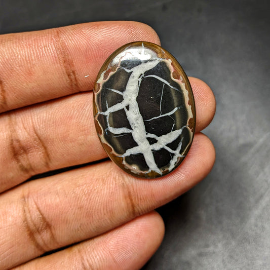 Black Septarian