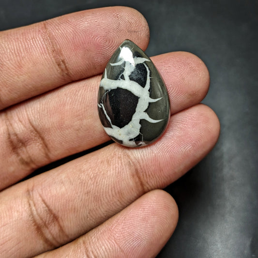 Black Septarian