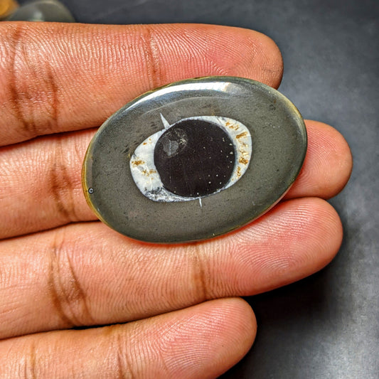 Black Septarian
