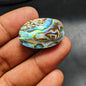 Abalone Shell