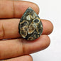 Turritella Agate