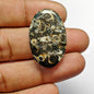 Turritella Agate