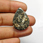 Turritella Agate